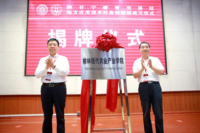 微信图片_20250415090447